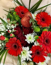 High angle view of red flowering plants