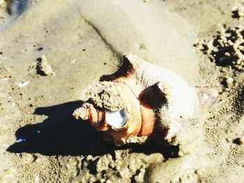 Close up of sand on beach