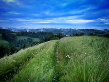 Scenic view of grassy field against cloudy sky