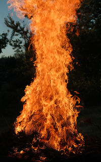 Close-up of bonfire on field