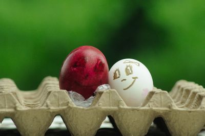 Close-up of eggs on table