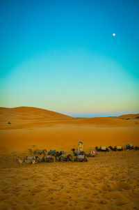 Scenic view of desert against clear sky