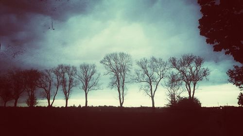Silhouette trees on landscape against sky