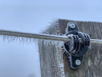 Close-up of rope tied to wooden post against sky