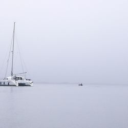 Sailboat sailing on sea against sky