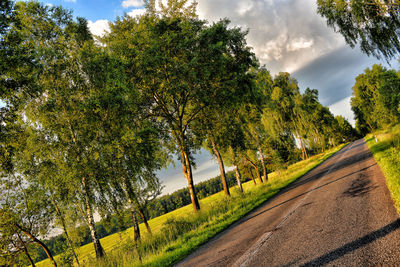 Road amidst trees on field against sky