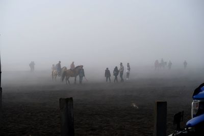 Group of people riding horses in fog