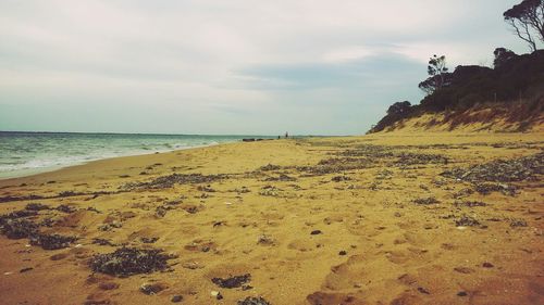 Scenic view of beach against sky