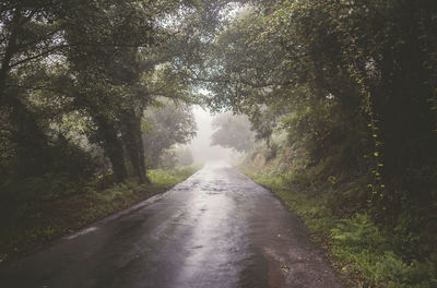 Road amidst trees in forest