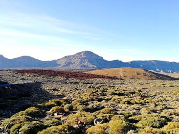 Scenic view of landscape and mountains against sky