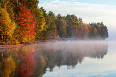 Scenic view of lake in forest during autumn