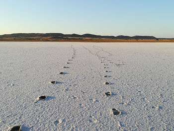 Scenic view of desert against clear sky