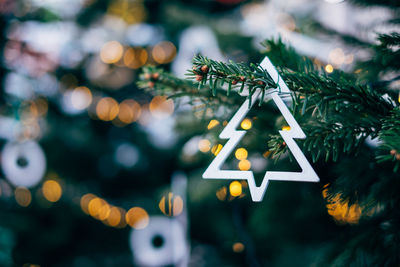 Close-up of christmas decorations hanging on tree