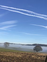 Scenic view of agricultural field against blue sky