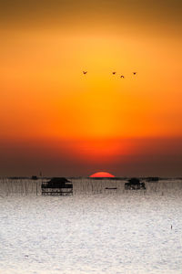 Silhouette birds flying over sea against orange sky