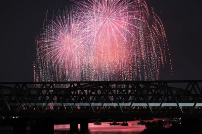 Firework display at night