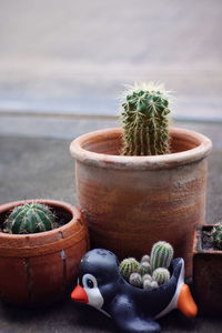 Close-up of potted plants on table