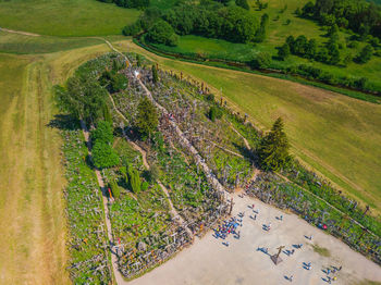 High angle view of agricultural field