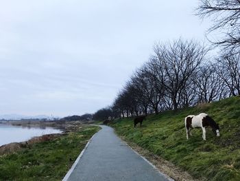 Road by trees on landscape against sky