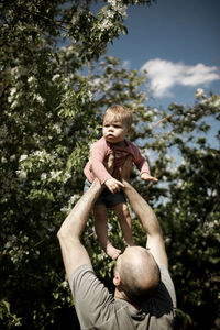 Dad holding up his daughter in front of a tree