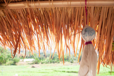 Rear view of woman standing on field