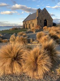 Church of the good shepherd