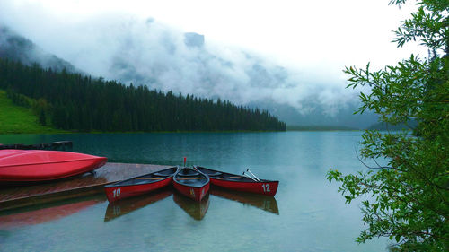 Reflection of trees in calm lake