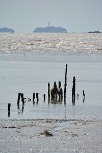 Group of people on beach