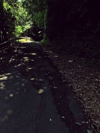 Road amidst trees in forest