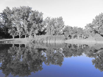 Reflection of trees in lake against clear sky