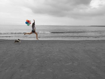 View of dog on beach