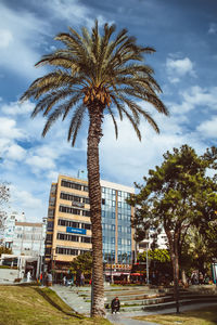 Low angle view of palm trees against sky