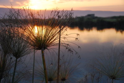 Sunrise over the lake, hahula, israel