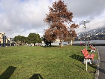 People in park against sky