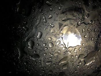 Close-up of water drops on glass