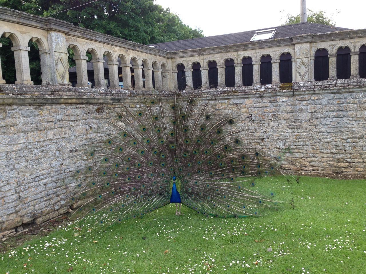 Kirby hall