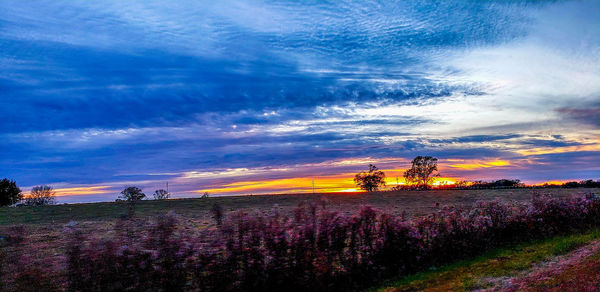 Scenic view of field against sky during sunset