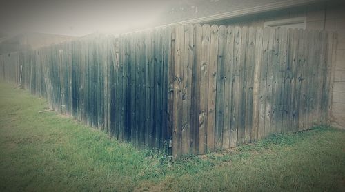 Panoramic view of grass