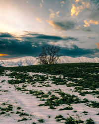 Scenic view of snowy field against sky during sunset