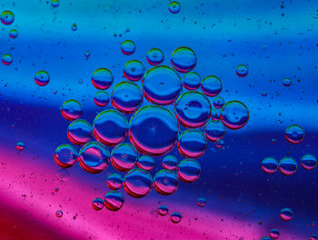 Close-up of bubbles