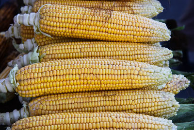 Close-up of corns