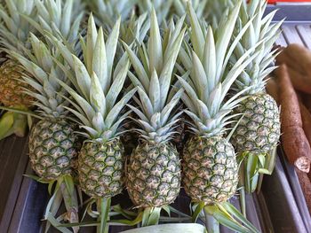 ananas