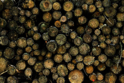 Full frame shot of firewood