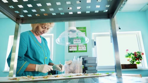 Lab worker studying, examines sprouted, rooted corn seeds, in laboratory. science laboratory