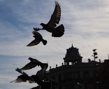 Low angle view of birds flying against sky