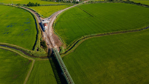 High angle view of agricultural field