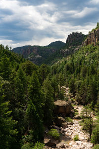 Scenic view of pine trees and mountains against sky