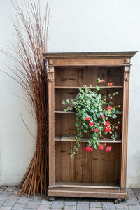 Potted plants against window of building