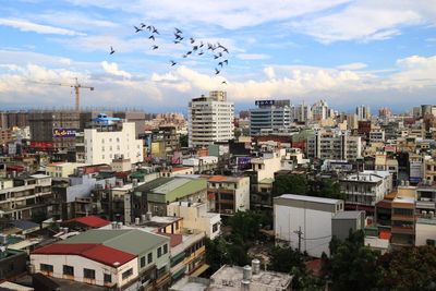 Birds flying over city against sky