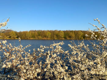 Scenic view of lake against clear blue sky